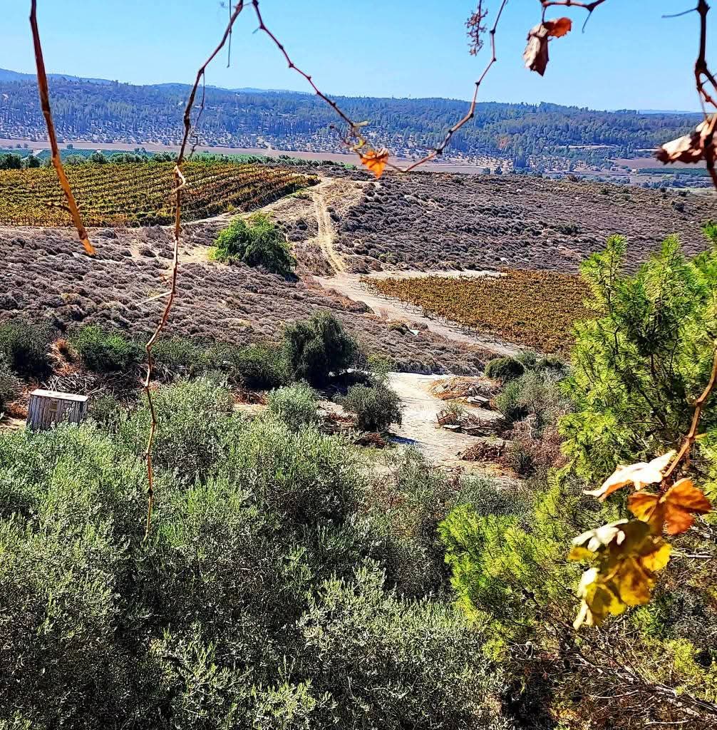 القدس | موسوعة القرى الفلسطينية